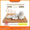 Self-Heating Winter Pet Mat: Warm Sleeping Cushion for Dogs & Cats