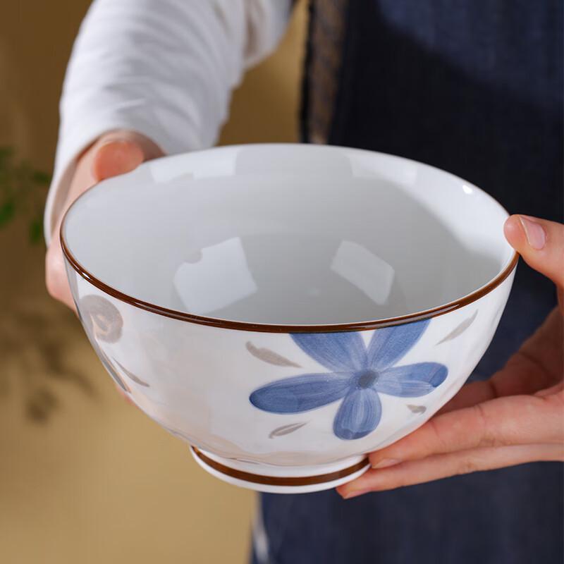 Hegawaya Japanese Ceramic Noodle & Rice Bowl Set