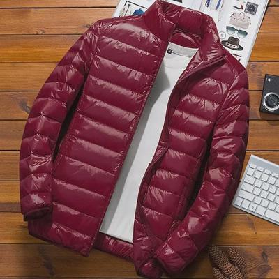 2023 Men's Slim Fit Lightweight Winter Down Cotton Jacket with Stand-Up Collar