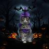 Scary Dog Costume Hat And Bandanas Set Comfortable Halloween Party Outfit Accessory For Small Breeds Holiday Dressingup