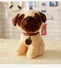 Curly Teddy Dog Plush Doll - Children's Birthday Gift Ragdoll Toy