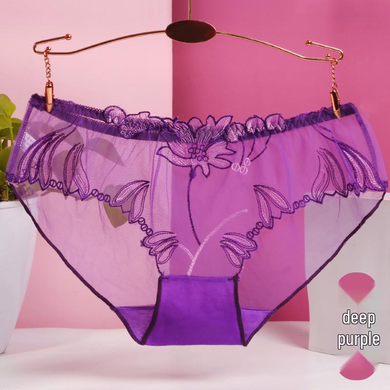 Plus Size Women's Sexy Lace Mesh Embroidered Triangle Panties