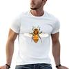 Apis Mellifera (Honey Bee) T-Shirt Big and Tall Gym T-Shirt