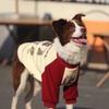 Winter Warm Pet Hoodie Large Dogs Golden Retriever Labradoodle Border Collie German Shepherd Thick Fleece Lined Red