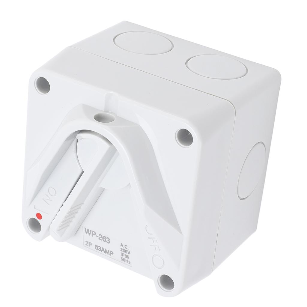 Enclosed Motor Disconnect Switch AC 63A 2P IP65 Water Proof Safety Isolation Switch for Generator