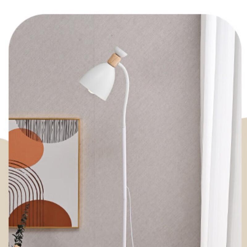 

Pailide Minimalist Floor Lamp