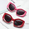 Big Frame Vintage Cat Eye Sunglasses Women Men Retro Square Sun Glasses Polygon Goggle for Male Female
