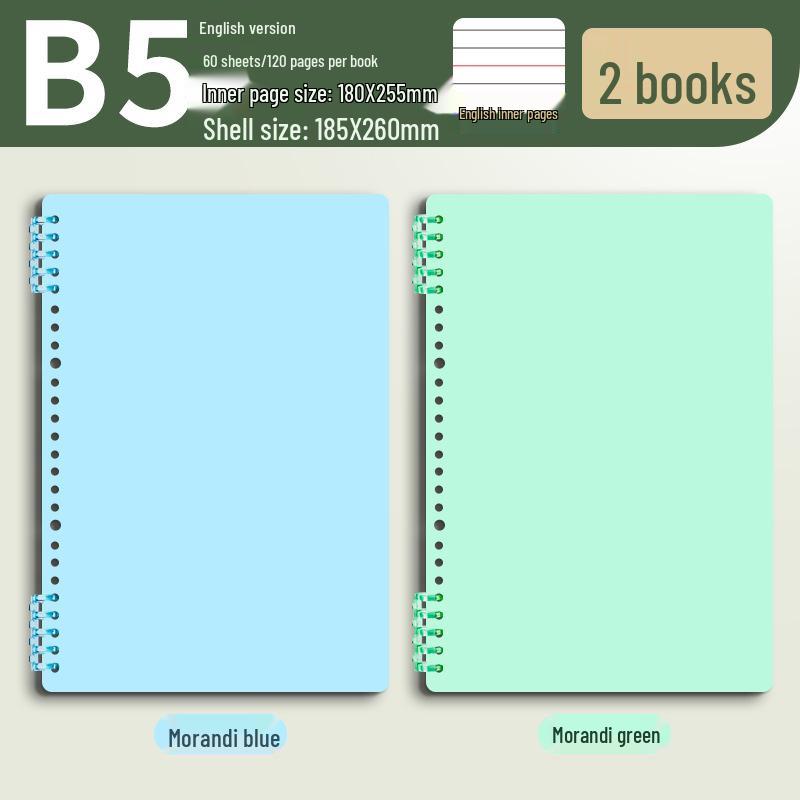 B5 Thick Loose-Leaf English Notebook for Elementary School - High-Value, Handwritten Practice Book