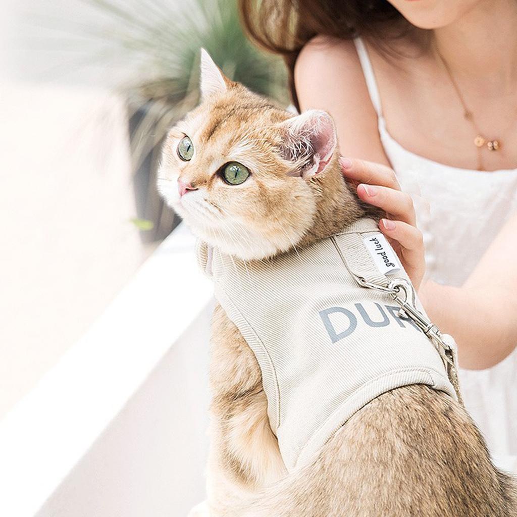 Reflective Letter Chest Back Traction Rope Pet Outdoor Walking Leash for Dog Kitten Rabbit Puppy Anti-Escape Accessories