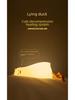 Duck Night Light: Children's Silicone Rechargeable Bedside Lamp
