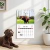 2026 Hundekot Kalender - Jahres Monatsplaner Agenda Zeitplan Organizer Wandkalender Lustige Party Gag Geschenke Für Freund