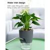 Lazy Flower Pot Automatic Water Absorption Plastic Pot Green Plant Water Culture