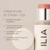 Ilia Multi Stick Cream Blush + HiGhliGhter + Lippenstift 0,15 Unzen 4,5 g Lady Bird Neutrales Rosé