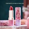 Princess Makeup Set for Kids: Girls’ Birthday Gift with Nail Polish