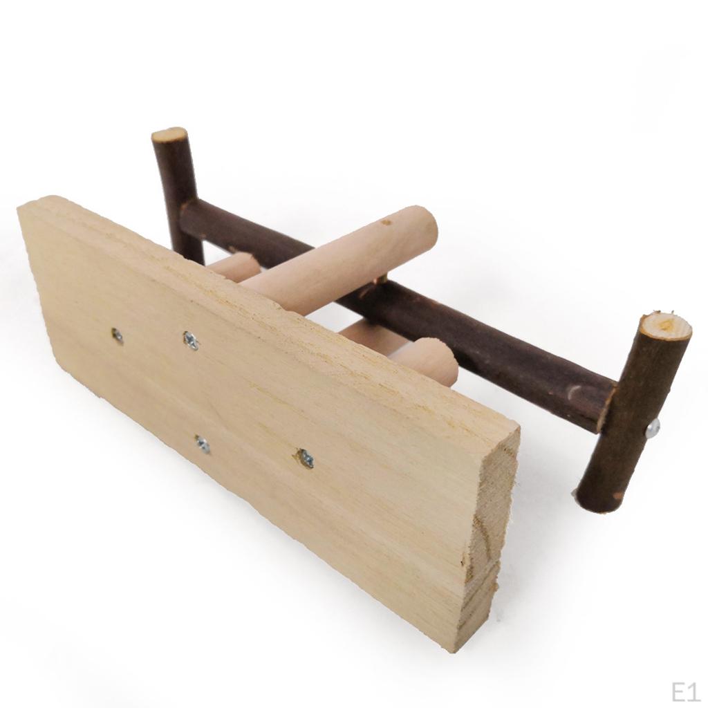 Sport Exercise Toys Parrot Hamster Wooden Seesaw Random Color