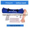 Multifunctional Venipuncture and Injection Training Arm