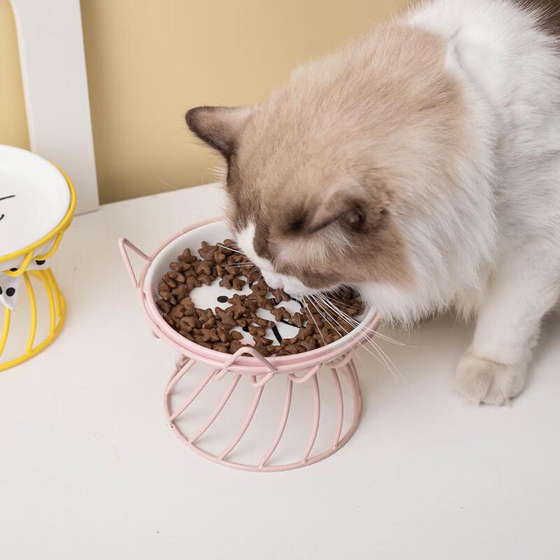 Cuenco Elevado de Cerámica para Gatos Chang Baosen