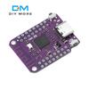 ESP32 S2 Mini WIFI Board Based ESP32-S2 4MB For MicroPython Mini TYPE-C WIFI Module For Arduino