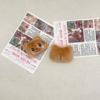 Cartoon Plush Sweat Drop Bear Brooch - Cute DIY Accessory for Bags & Clothing