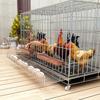 Animale de fermă
 – Cuşti şi accesorii pentru animale