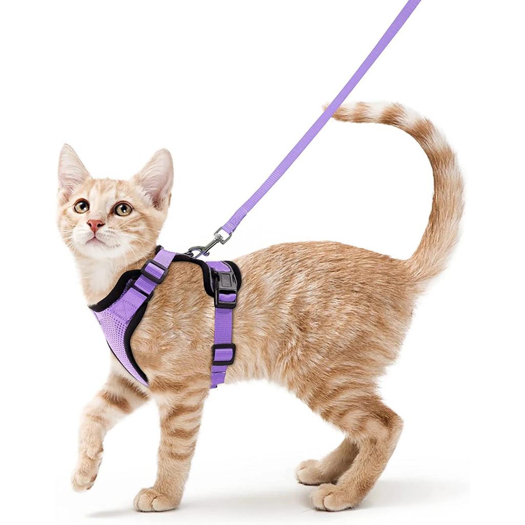 Summer Cat Dog Harness Lead Leash Adjustable Vest Polyester Mesh Breathable Harnesses Reflective for Small Dog Cat Lesah
