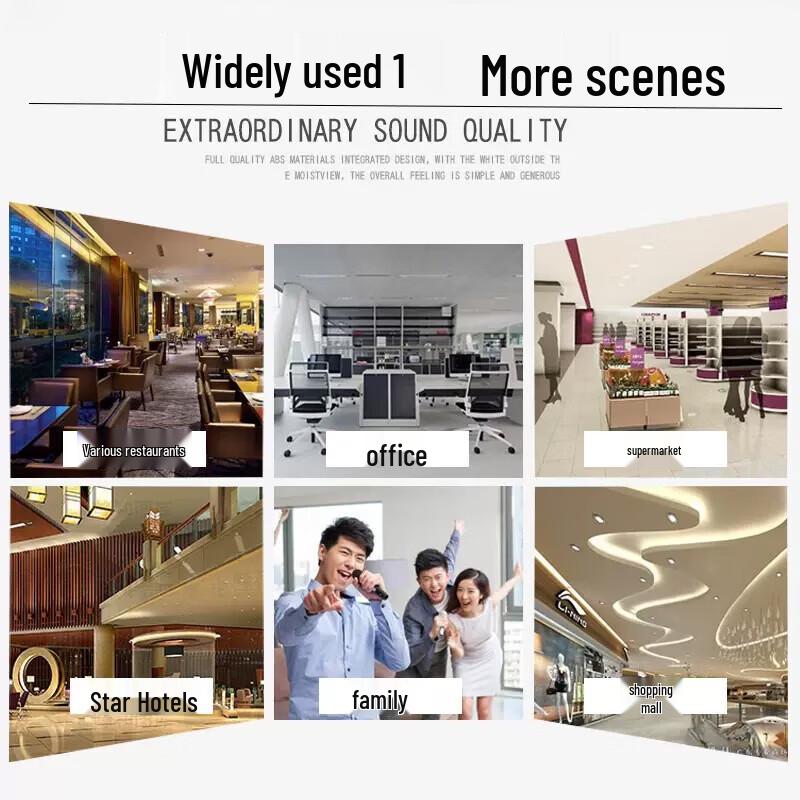 Soaiy SA-X1 Bluetooth Ceiling Speaker System