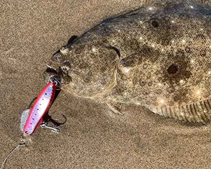 SHIMANO Saltwater Lure Sinking Pencil Netsuna Wing Beam 80HS 013 Kyorin Keimuraiwashi XG-880S