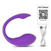 Wireless Bluetooth APP Vibrator Female Remote Control Egg Clitoris Stimulator G Spot Massager Sex Toys for Women Adults Panties