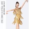 Samba Dancing Latin Dancing Dress Tassel Ballroom Dress Fashion Competition Dress  Show Costumes