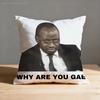 Why Are You Gae Meme UUganda Pillow Case Print Polyester Fiber X cm Home Sofa Throw Cushion Cover Decoration