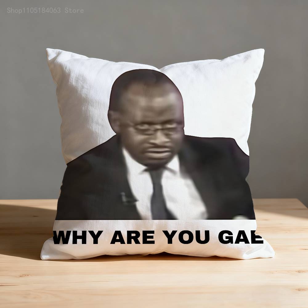 Why Are You Gae Meme UUganda Pillow Case Print Polyester Fiber X cm Home Sofa Throw Cushion Cover Decoration