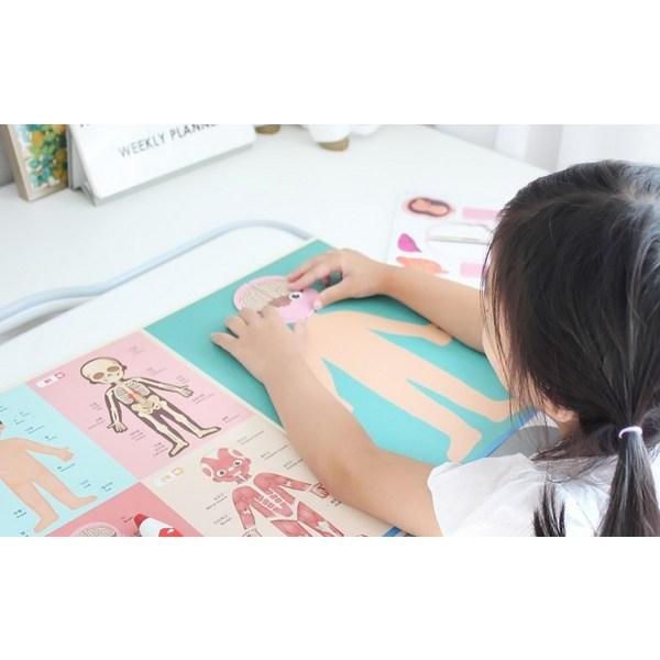 Mapa lidského těla Ver. 2 puzzle, 1, 85 dílků, Korea Best Batole Puzzle