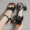 2026 Fashion Ladies Shoes Buckle Strap Women's Sandals New Open Toe Office and Career Summer Plus Size Heeled Sandals
