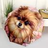 1pc Pomeranian, Floral Automatic Open/Close Umbrella - Compact Travel Umbrella, Gift for Birthdayyy251208139