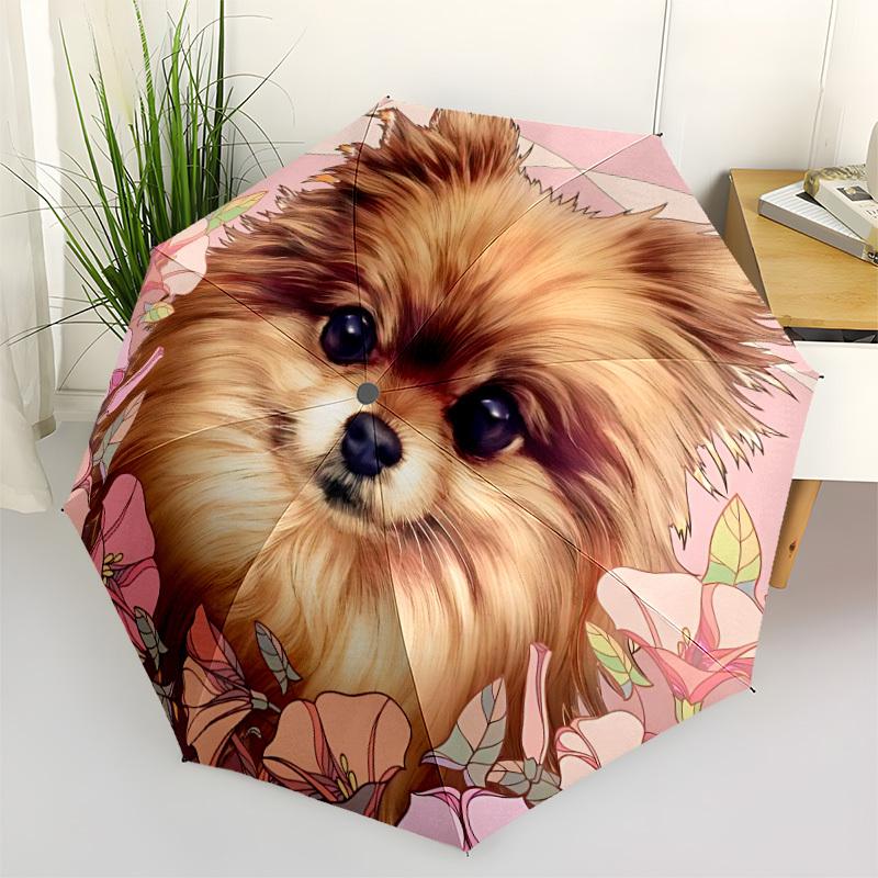 1pc Pomeranian, Floral Automatic Open/Close Umbrella - Compact Travel Umbrella, Gift for Birthdayyy251208139