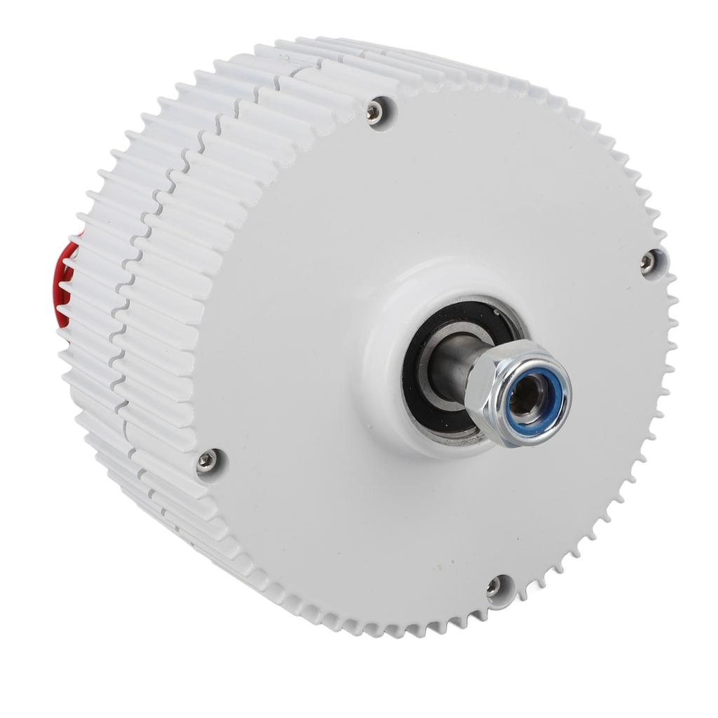 Motor sincron cu magnet permanent Dual Shaft 3 Fazat AC Alternator 12V pentru vertical sau orizontal