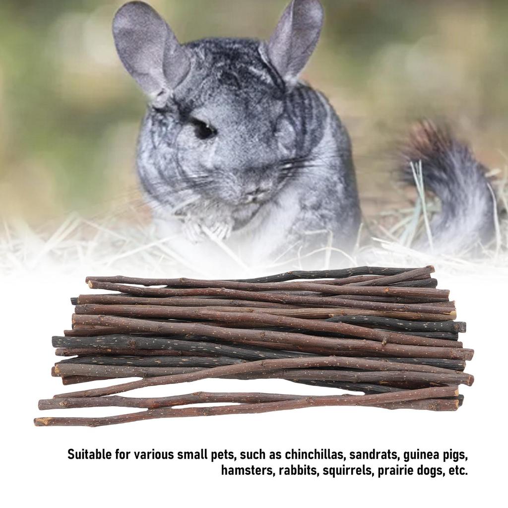 30Pcs Bunny Chew Stick Fruit Tree Animal Chewing Branch for Small Rodents Oral Health Improvement