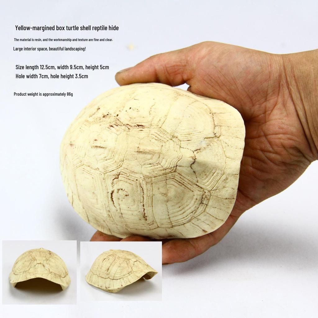 Akril Hüllőtenyésztő Doboz Dekoratív Koponyával