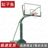 GZ Fish Portable Basketball Hoop