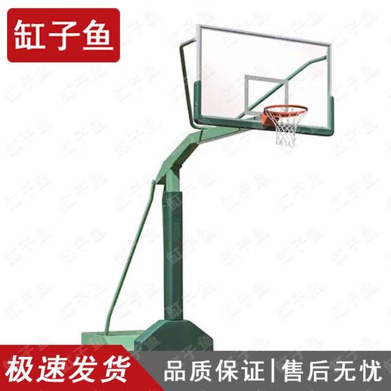 GZ Fish Portable Basketball Hoop