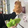 Riding Crocodiles Capybara Anime Fluffty Toy Pullable Capybara Plush Doll  Birthday Gift