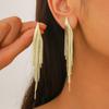 Exaggerated Delicate Earrings Women's Fashion Tassel Earrings Zirconia Tassel Earrings Long Tassel Earrings Trendy Earrings 2025 Everyday Jewelry