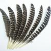 Real Natural Eagle Feathers For Crafts 16-18"/20-40Cm Eagle Bird Feather Decor Wedding Decoration Carnival Accessories