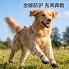 Vêtements et chaussures – Chaussures pour chien