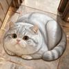 Realistic 3D Cat Floor Mat 45×60CM Bedroom Door Rug Cute Bathroom Carpet  Home Decor