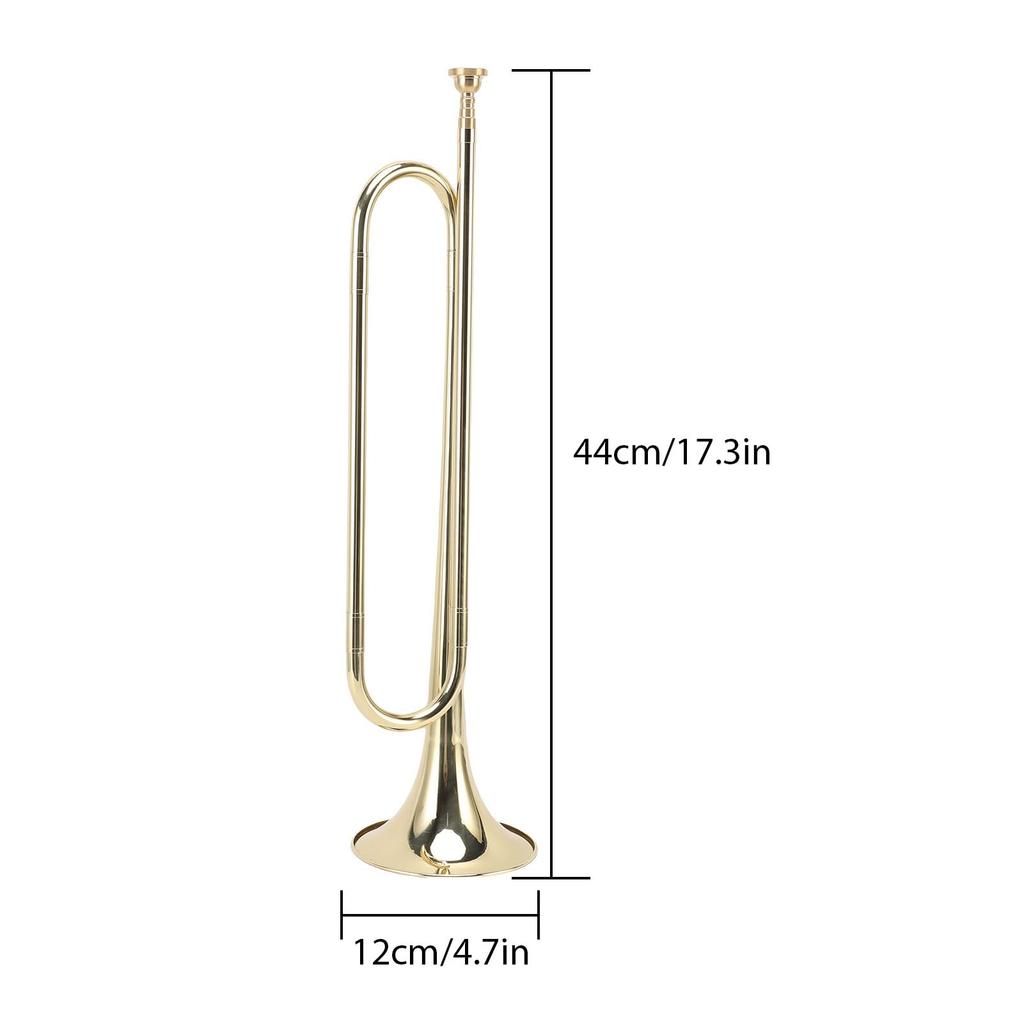 Btuty Trumpet for Beginners and Students, Brass Construction, Bright Tone, Large Bell Design, School Band Practice, Professional Orchestra Compatible,