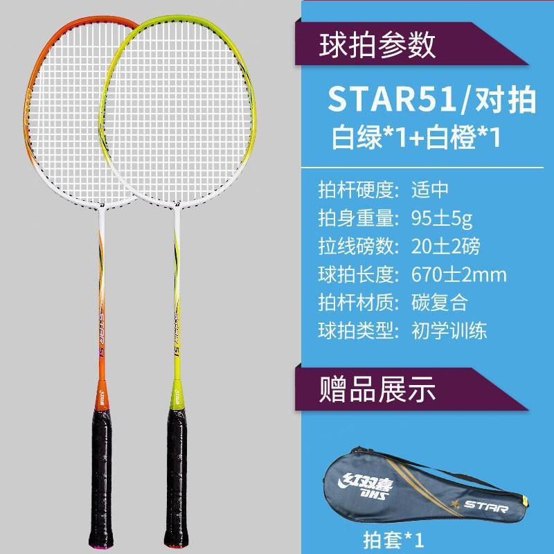 DHS TX202 Badminton Racket Pair Beginners Iron Alloy Frame Lightweight 95-100g Balanced Stiffness