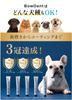 Dog Toothpaste Toothbrush Set Tartar Removal Tooth Brushing Dental Care Tartar Bad Breath Plaque Oral BowDent 20g [BowDent] All-in-One