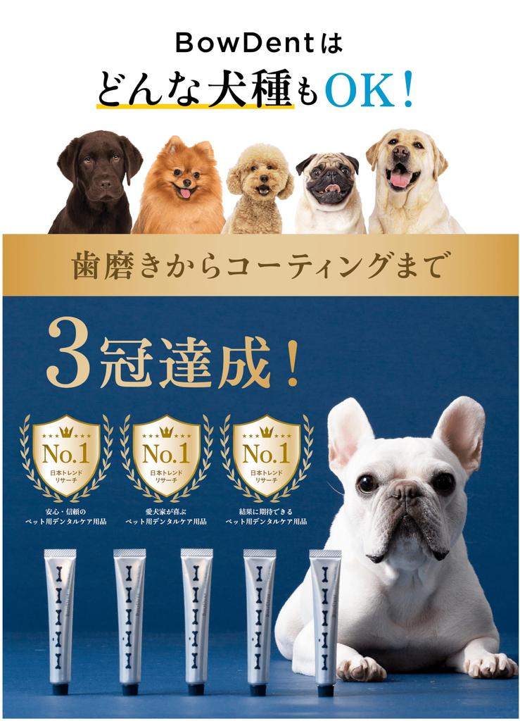 Dog Toothpaste Toothbrush Set Tartar Removal Tooth Brushing Dental Care Tartar Bad Breath Plaque Oral BowDent 20g [BowDent] All-in-One
