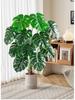 Monstera Bionic Bonsai – Luxury Indoor Faux Floor Plant for Decor